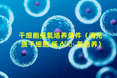 干细胞低氧培养条件（间充质干细胞 低 🌷 氧培养）